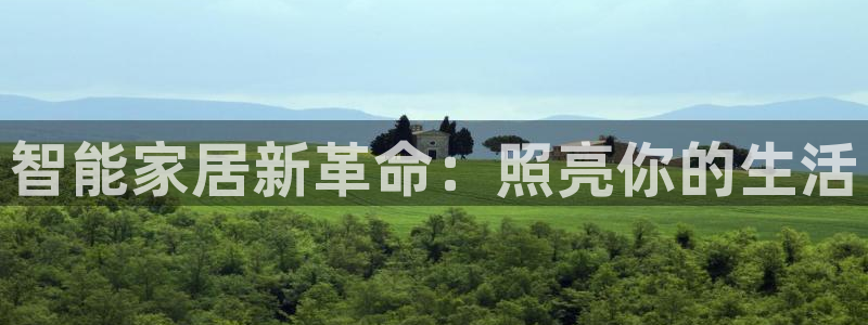 云顶国际公馆户型图