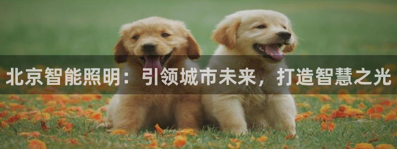 云顶集团中国区总裁