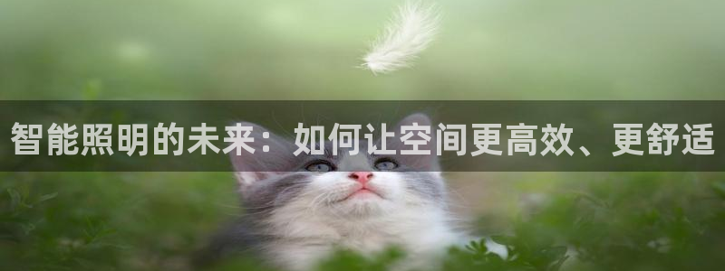 云顶集团有限公司简介地址