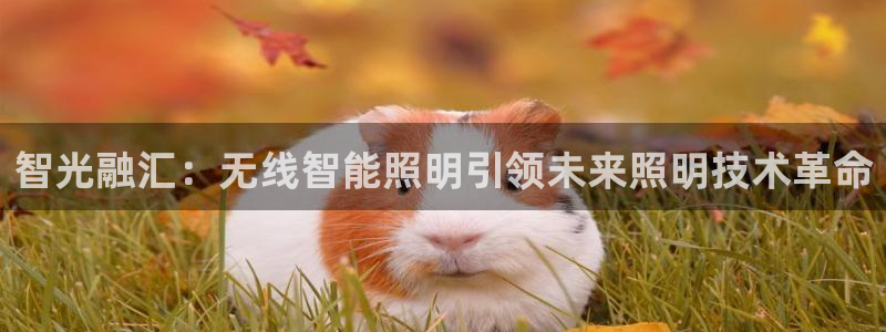 云顶国际商业广场 荣耀