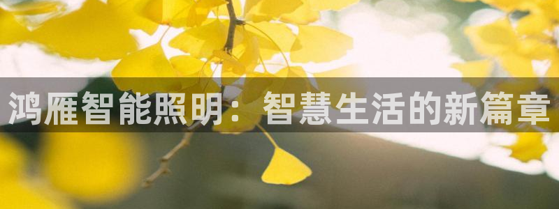 云顶国际yd333团体官网