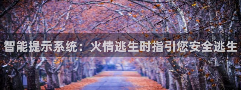 云顶集团游戏app特色