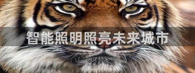 云顶集团3118官网