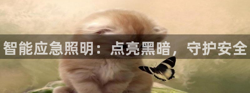 云顶国际官网唯一官方网站下载