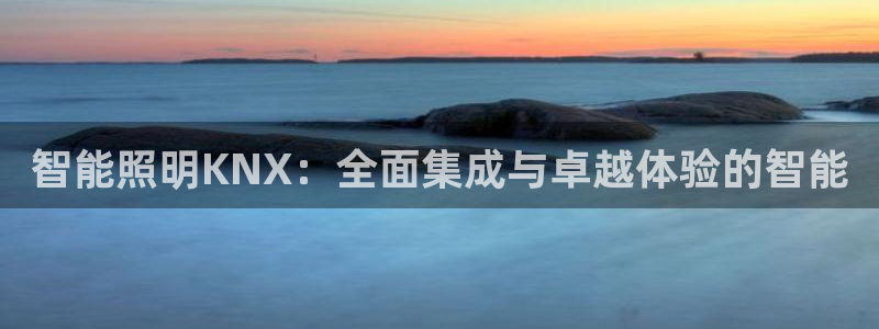 云顶集团rt电子游戏