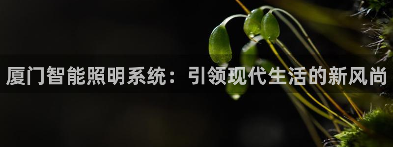 云顶集团官网电话是多少