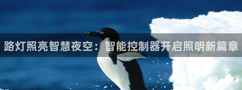 云顶国际服服务端错误