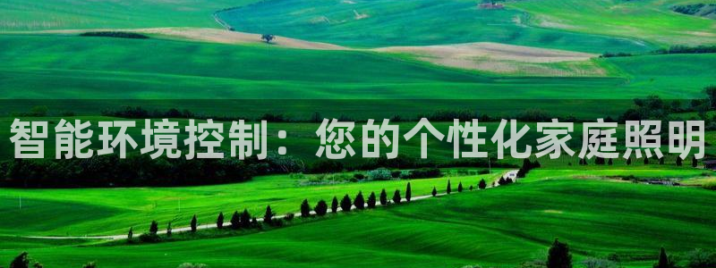 云顶国际百度百科