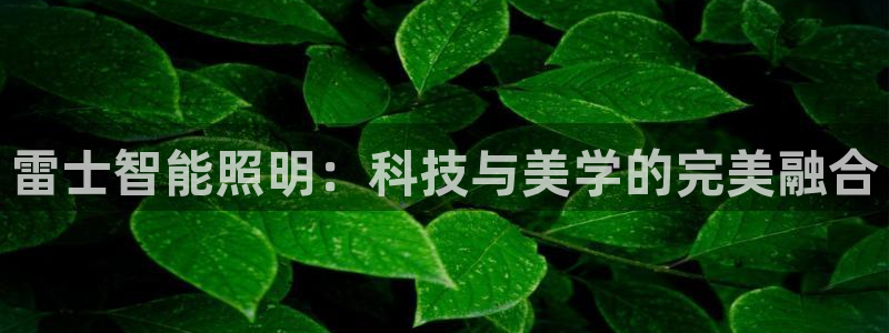 云顶国际平台为什么提现不了微信